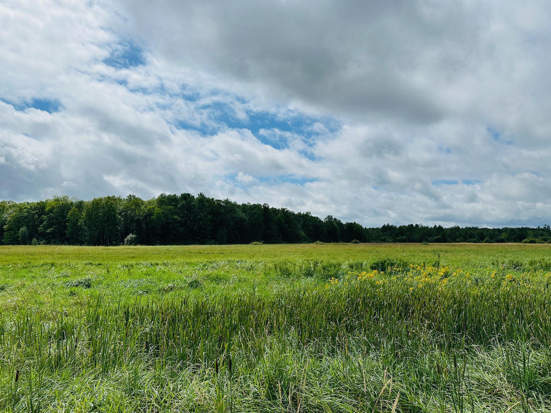 Xxx 330th Street Onamia, MN 56359 - Photo 9 of 9