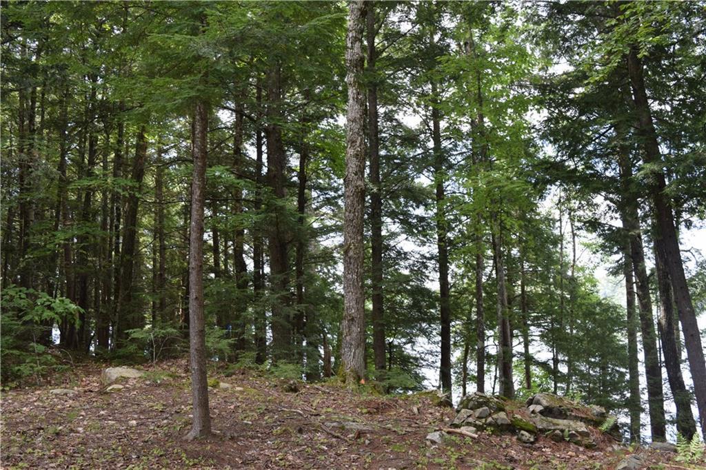 Lot P2 Bakers Acres Road Harrison, ME 04040 - Photo 9 of 17 Photo