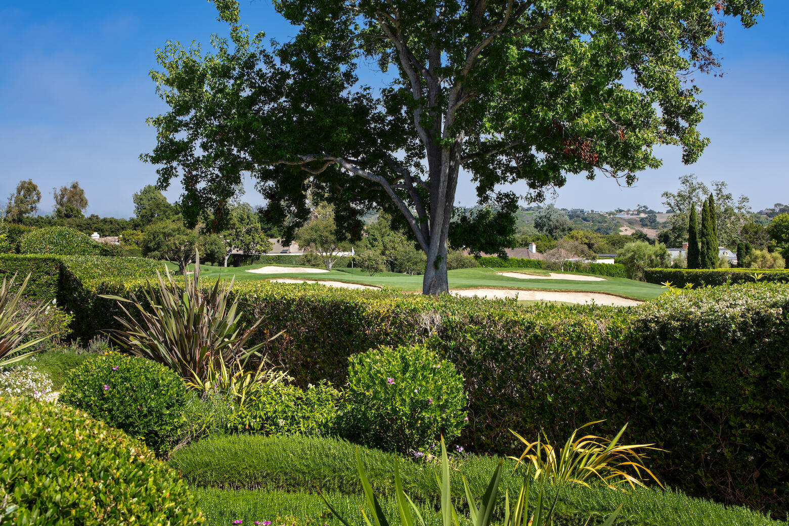 1975 Inverness Lane Montecito, CA 93108 - Photo 13 of 22 a view of a yard with a tree