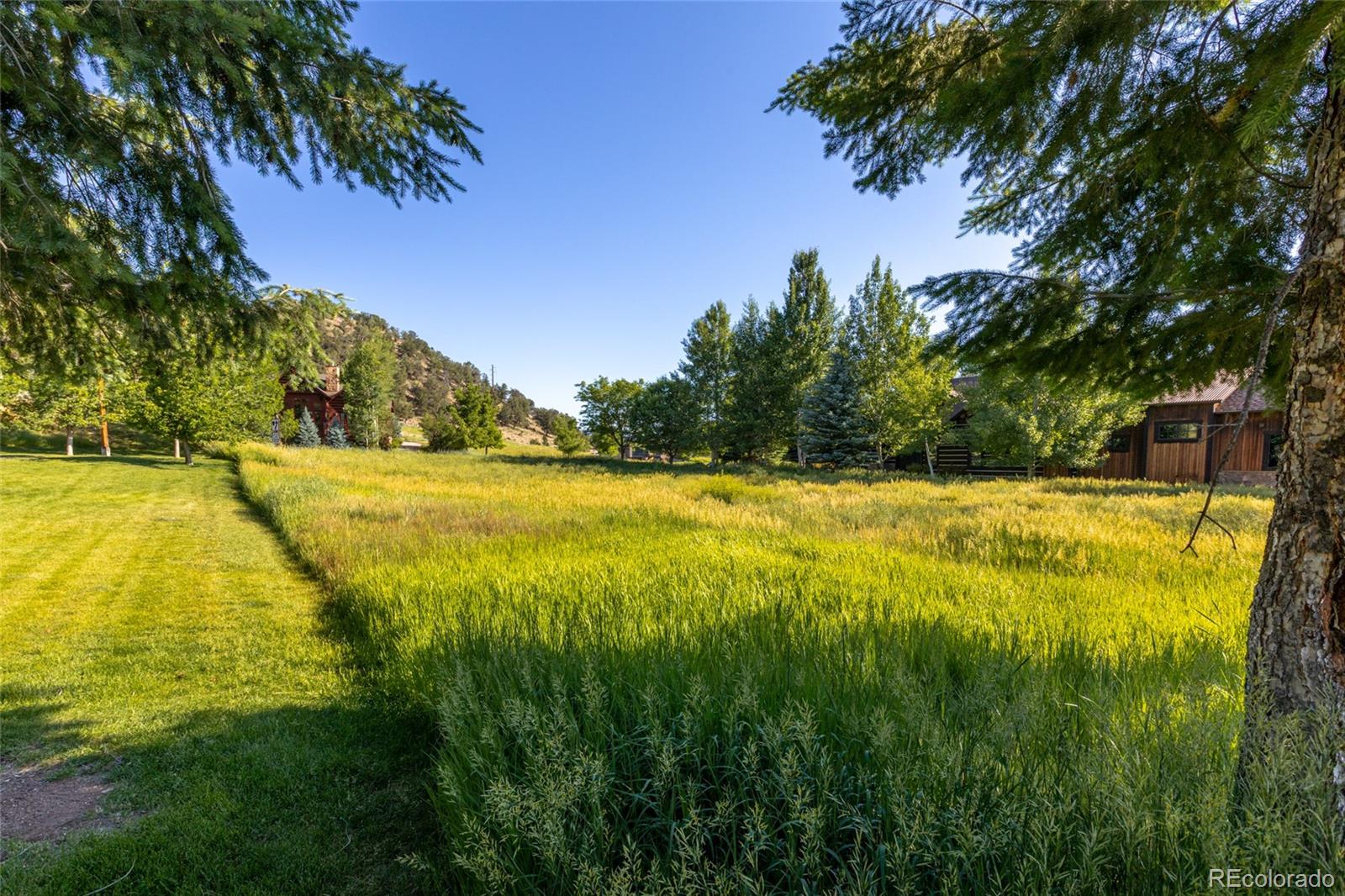 782 Perry Ridge Carbondale, CO 81623 - Photo 10 of 35