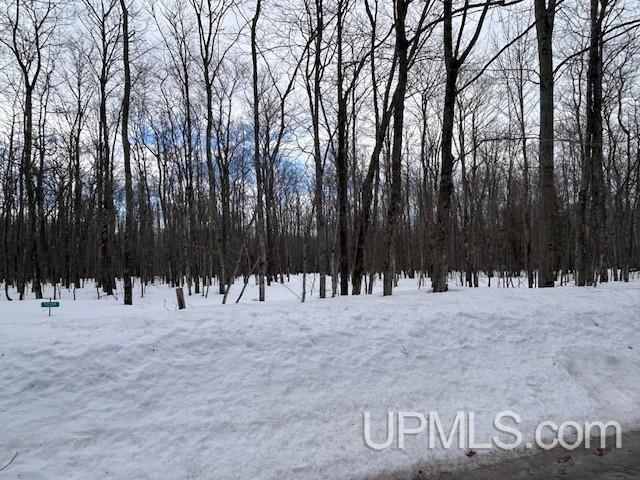 53554 North Superior Road Houghton, MI 49931 - Photo 7 of 41