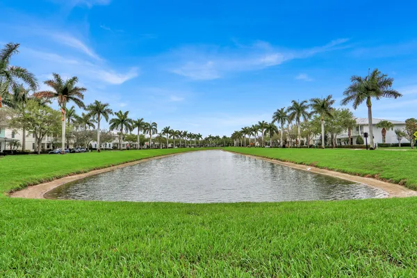 a view of a park with large trees