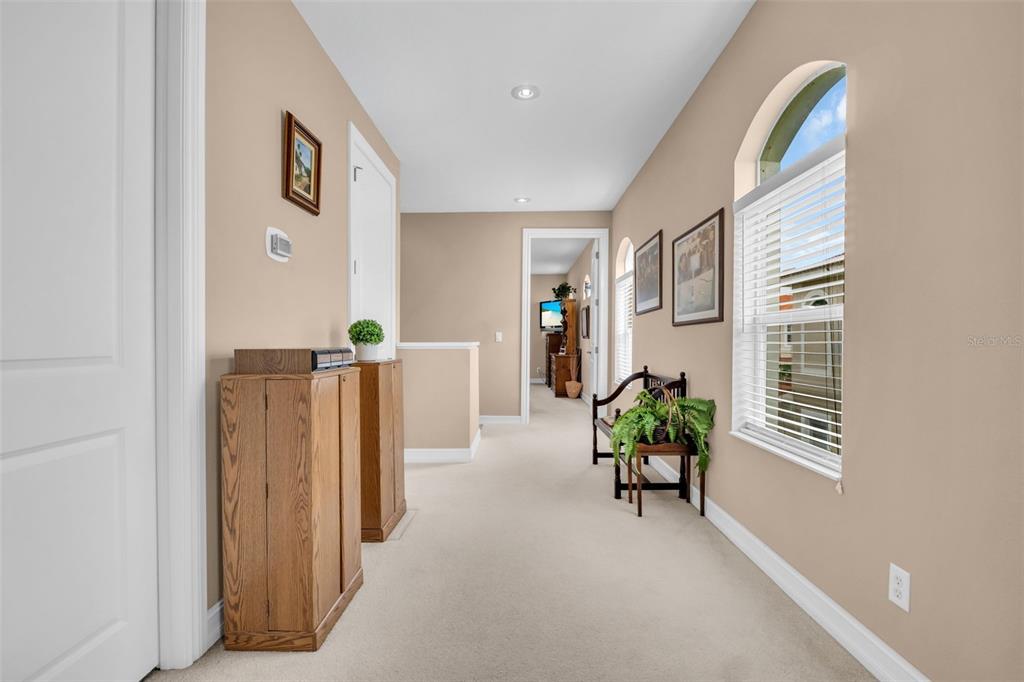 1460 Ribolla Drive Palm Harbor, FL 34683 - Photo 33 of 47