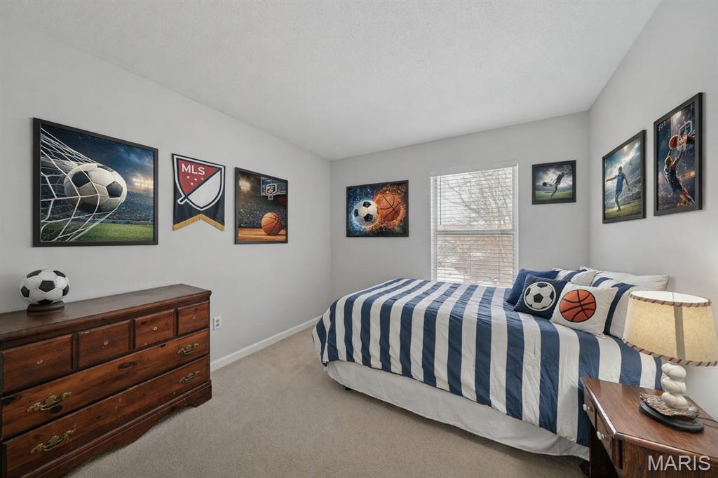 709 Ginger Wood Court Ballwin, MO 63021 - Photo 13 of 18