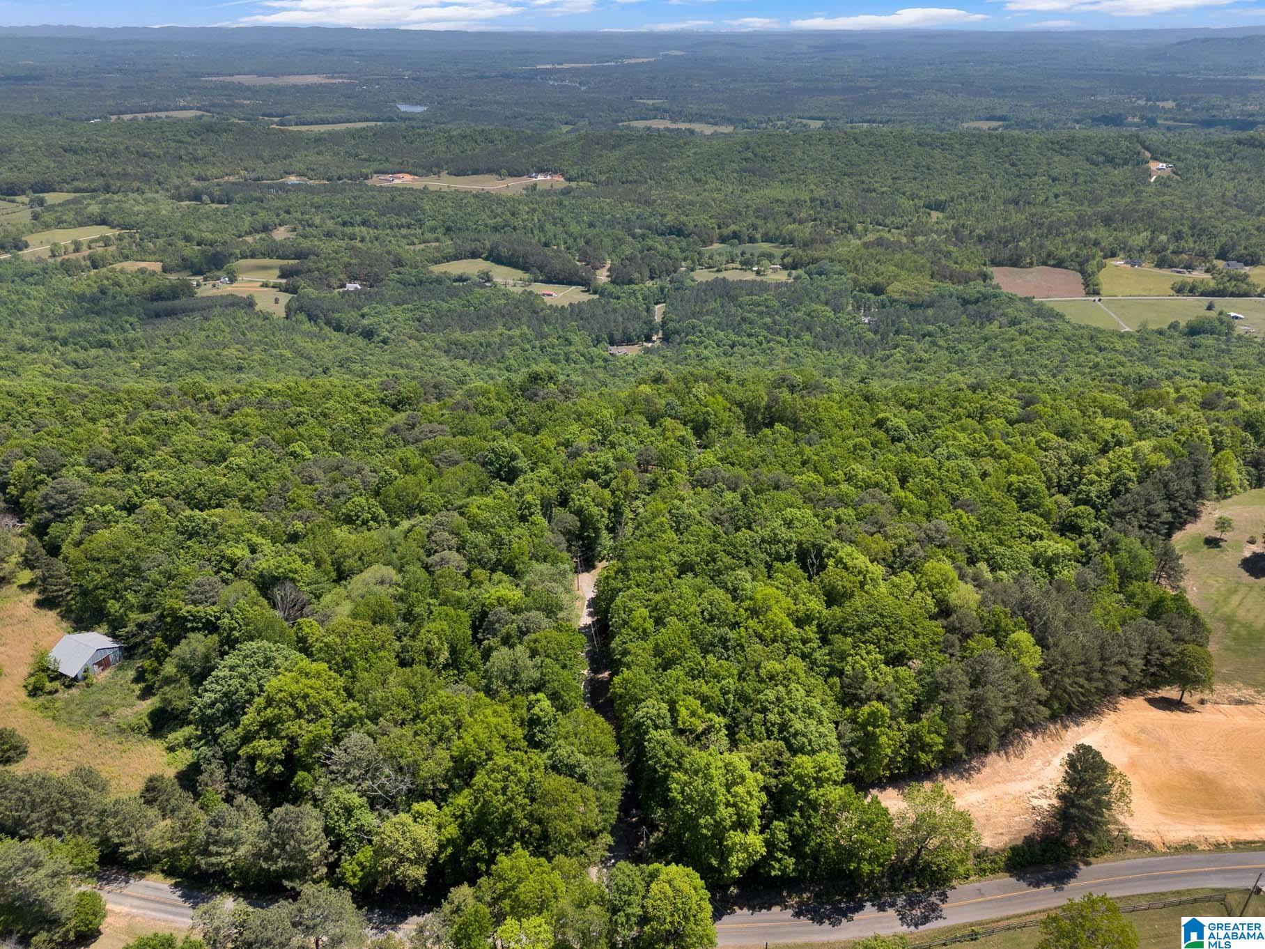 7076 Co Highway 24 Springville, AL 35146 - Photo 56 of 60