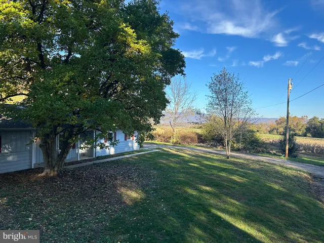 a view of a trees in a yard