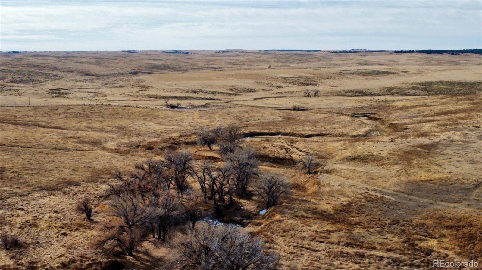 109 County Road Deer Trail, CO 80105 - Photo 12 of 18