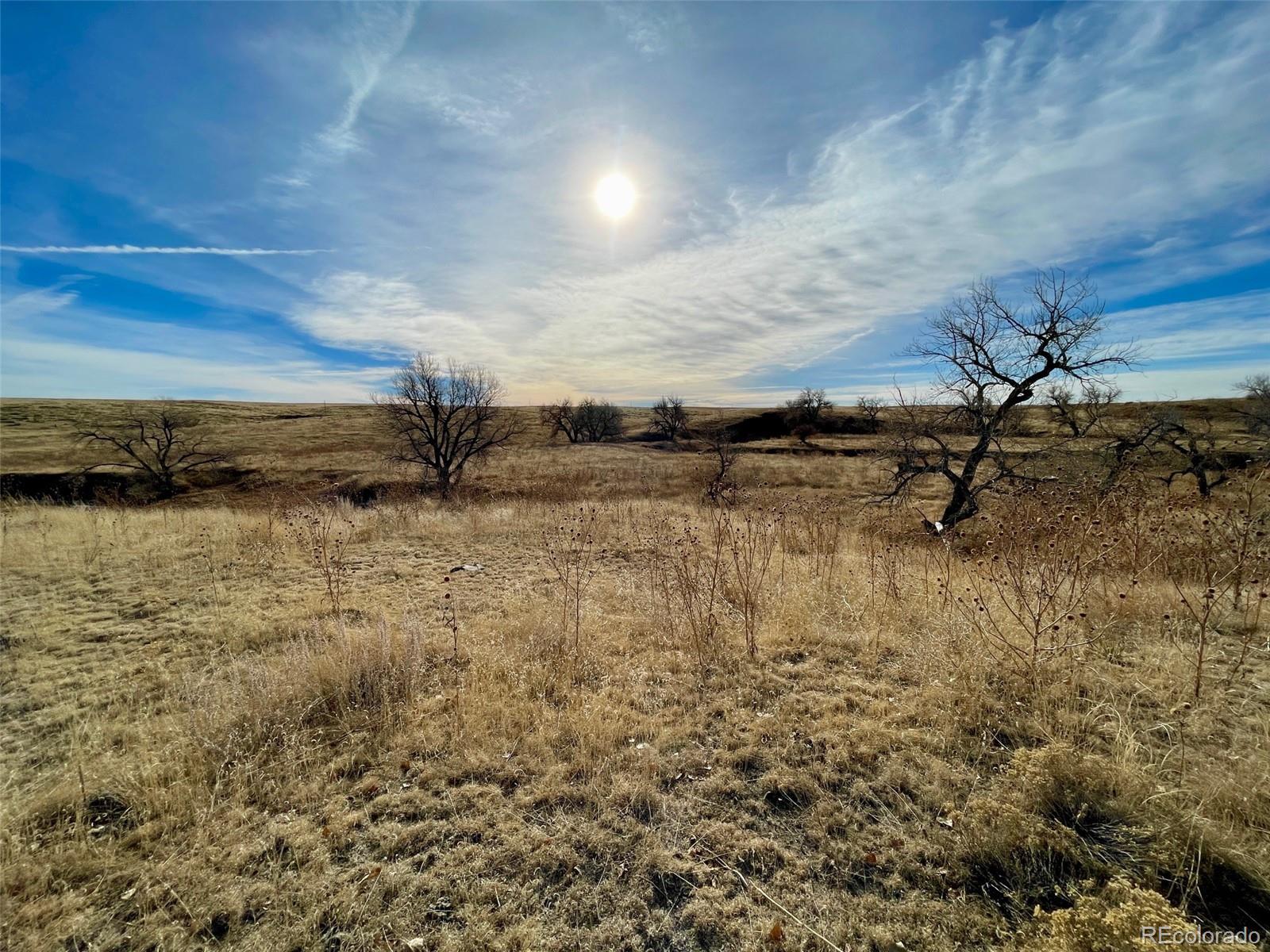109 County Road Deer Trail, CO 80105 - Photo 15 of 18