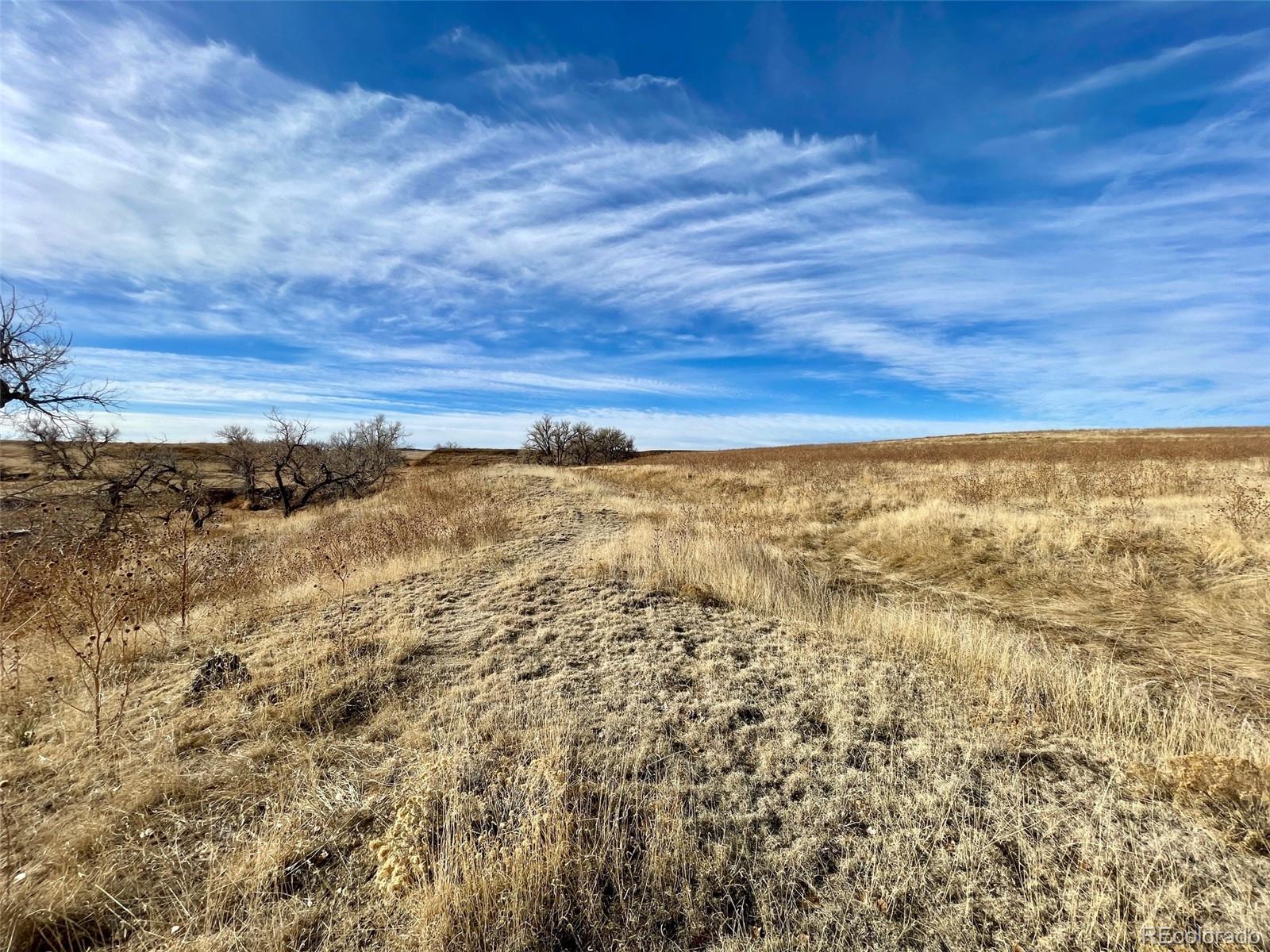 109 County Road Deer Trail, CO 80105 - Photo 16 of 18