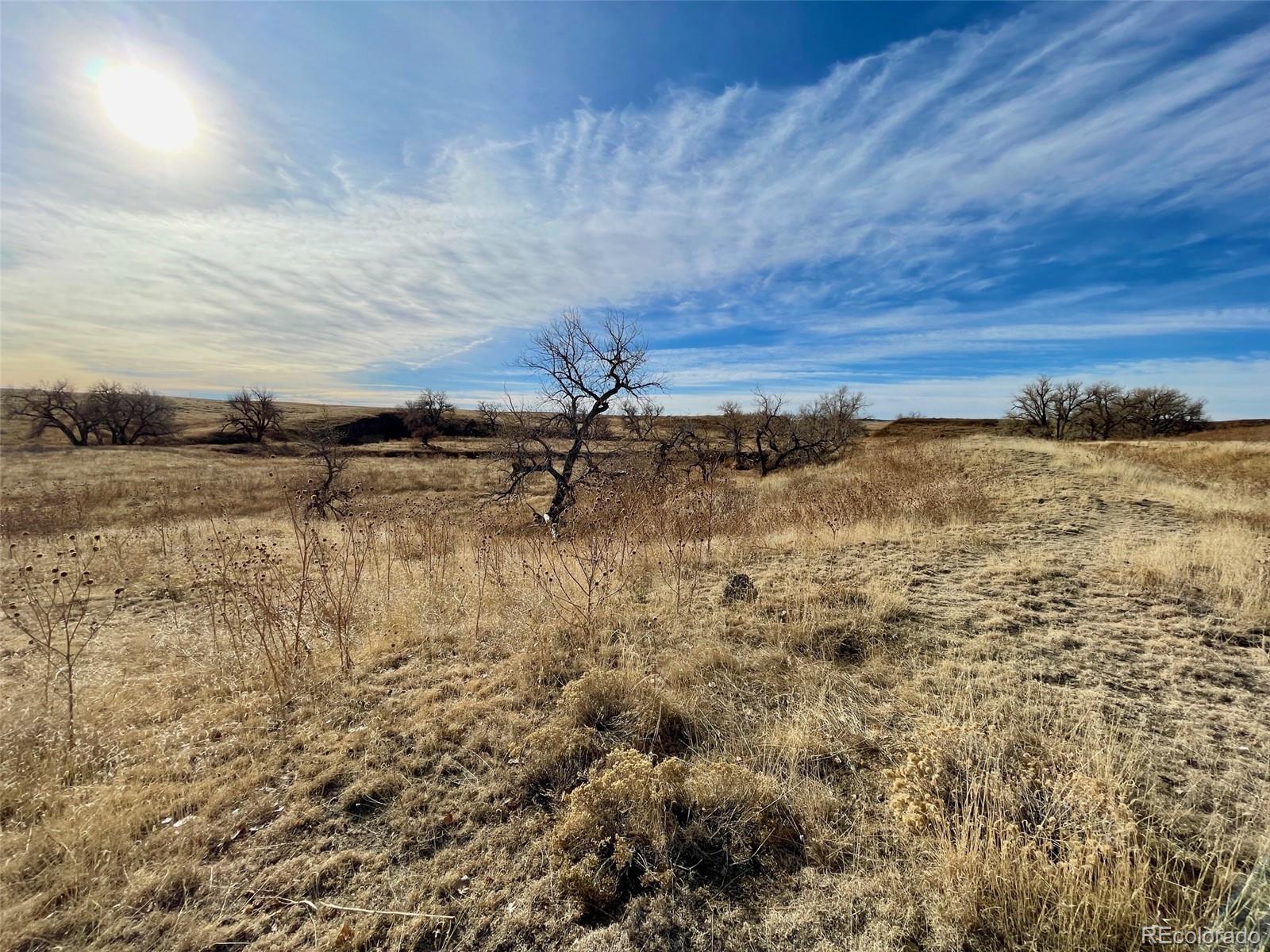 109 County Road Deer Trail, CO 80105 - Photo 17 of 18