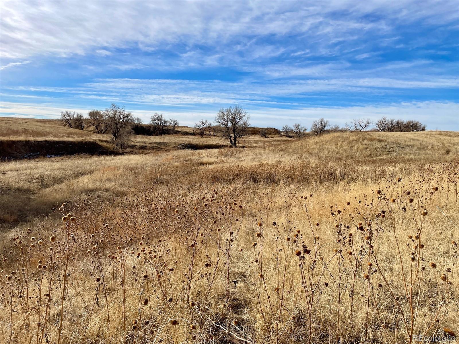 109 County Road Deer Trail, CO 80105 - Photo 18 of 18