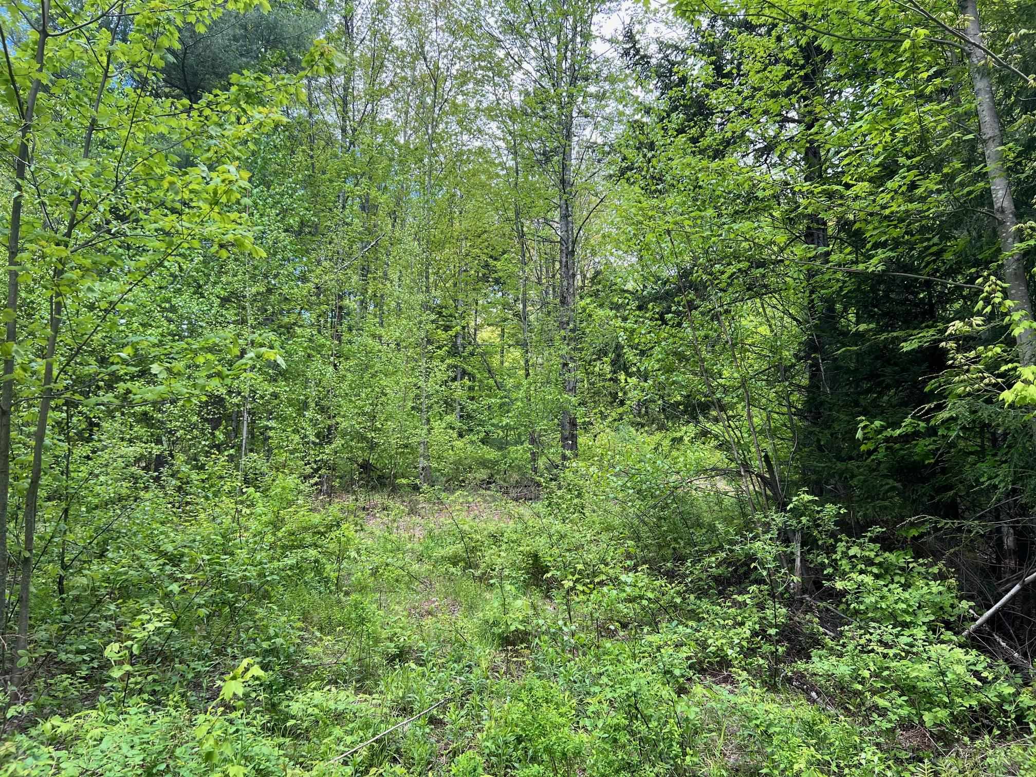 0 Bragg Hill Road, Unit 3 Waitsfield, VT 05673 - Photo 18 of 18 Gallery Image 18