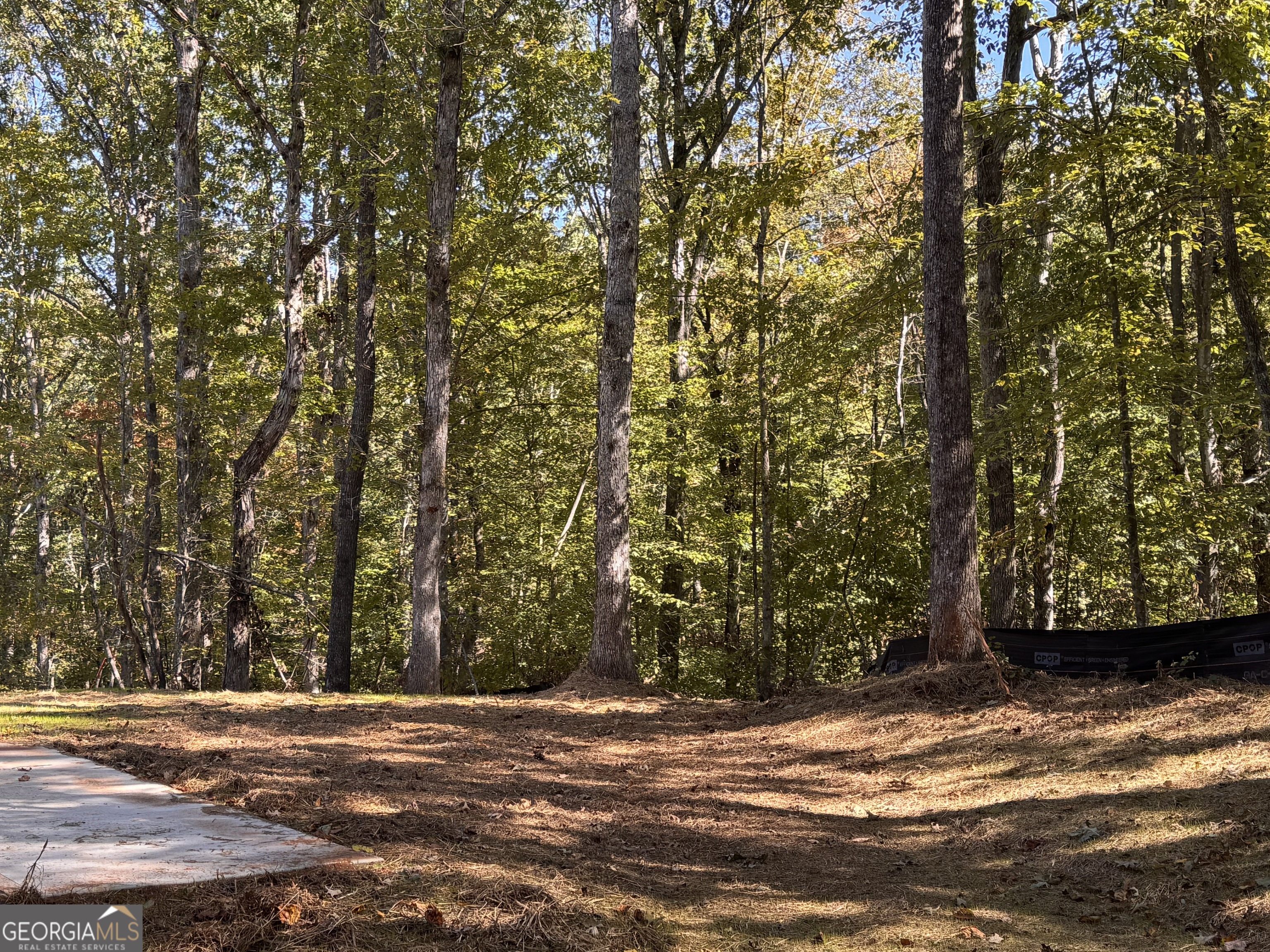 50 Hawks Ridge Cleveland, GA 30528 - Photo 2 of 10