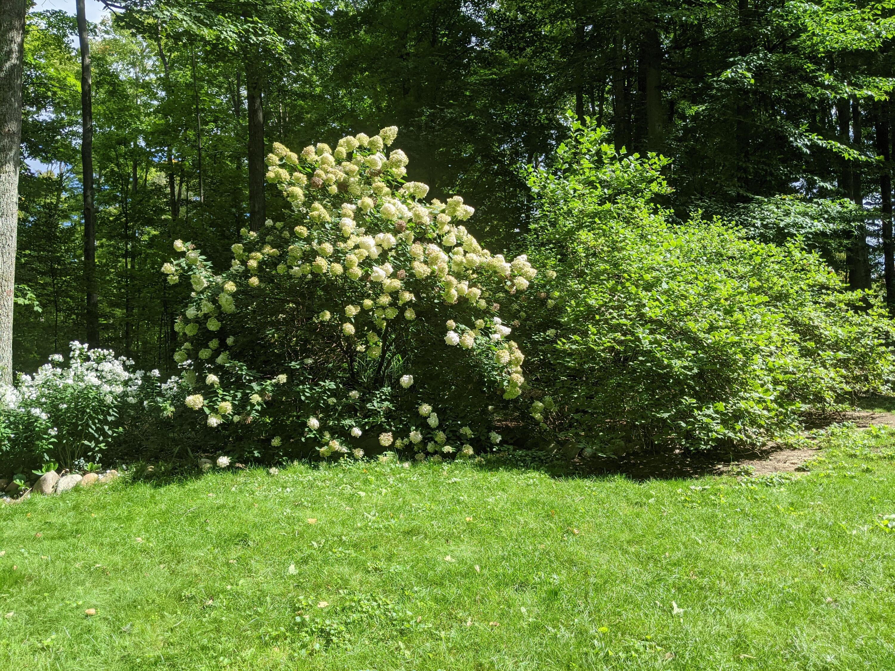 4480 Hallenius Road Gaylord, MI 49735 - Photo 86 of 104 Gallery Image 86