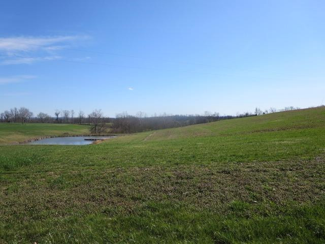 578 White Conkwright Road Winchester, KY 40391 - Photo 7 of 10 Photo 7