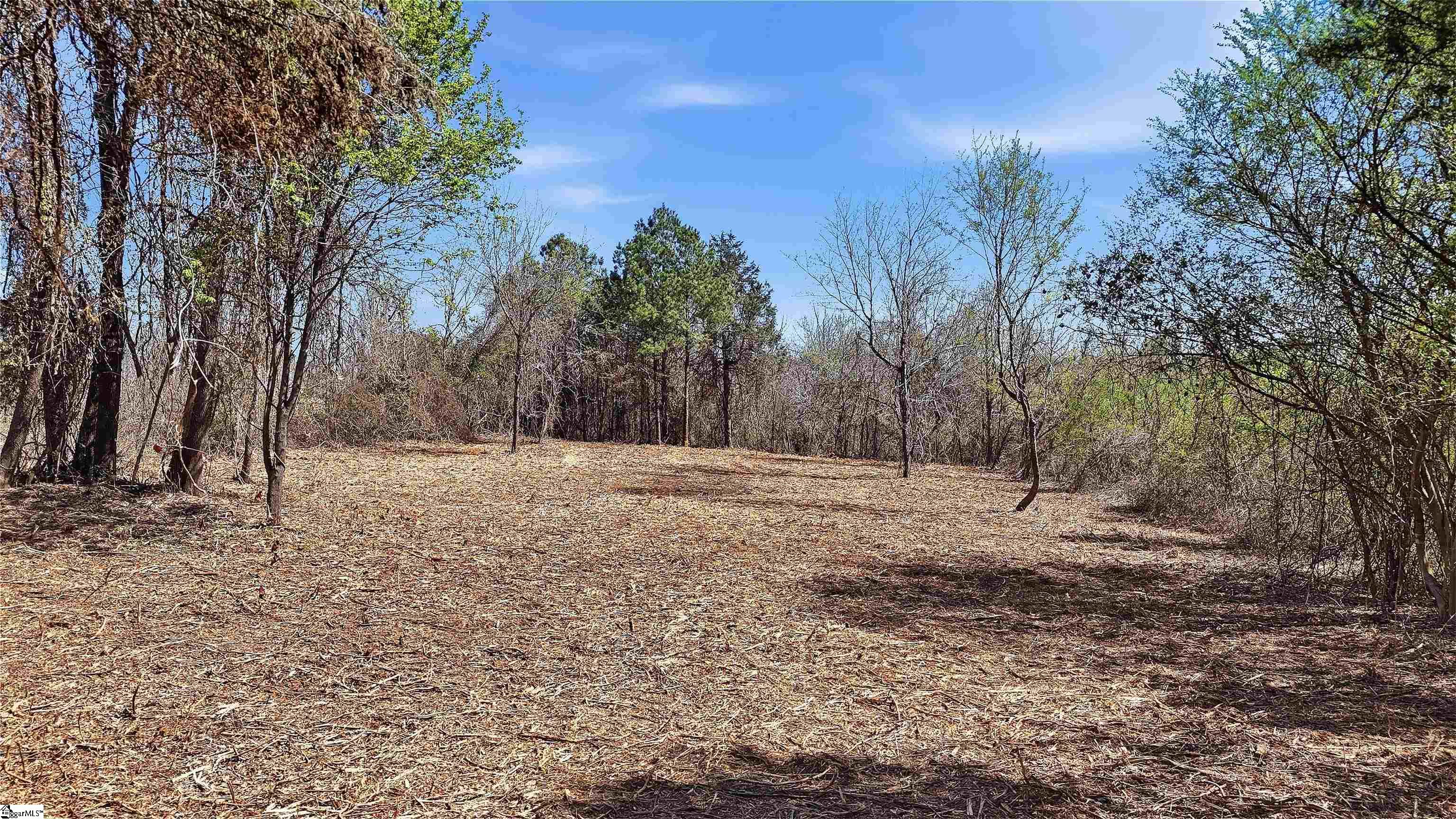 0 Cemetery Circle Moore, SC 29369 - Photo 4 of 8