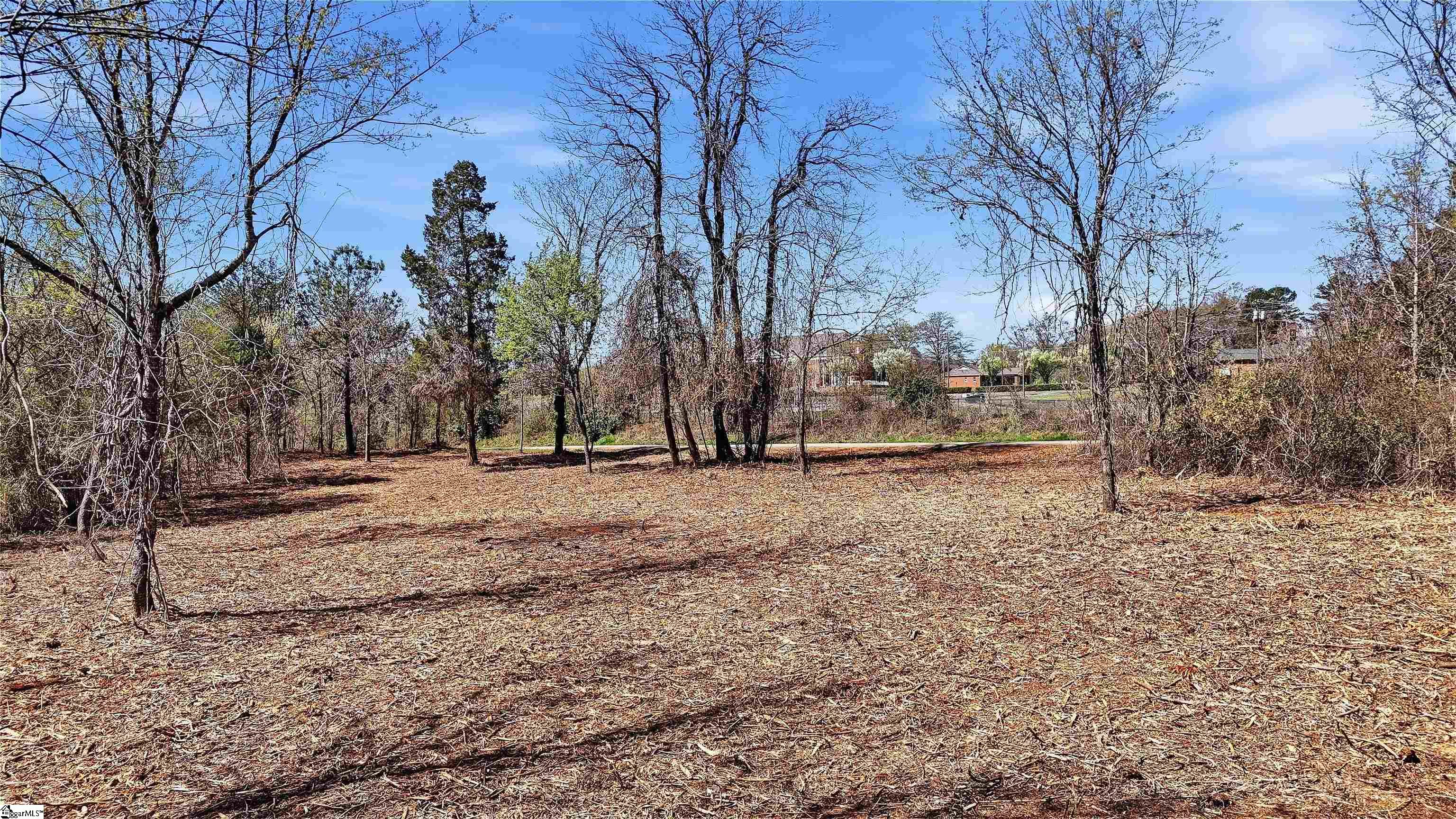 0 Cemetery Circle Moore, SC 29369 - Photo 5 of 8