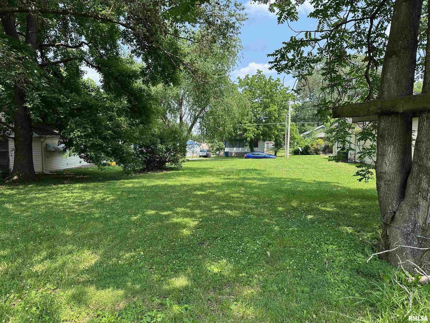 603 South Jesse Street Christopher, IL 62822 - Photo 4 of 7 a view of a trees in a park