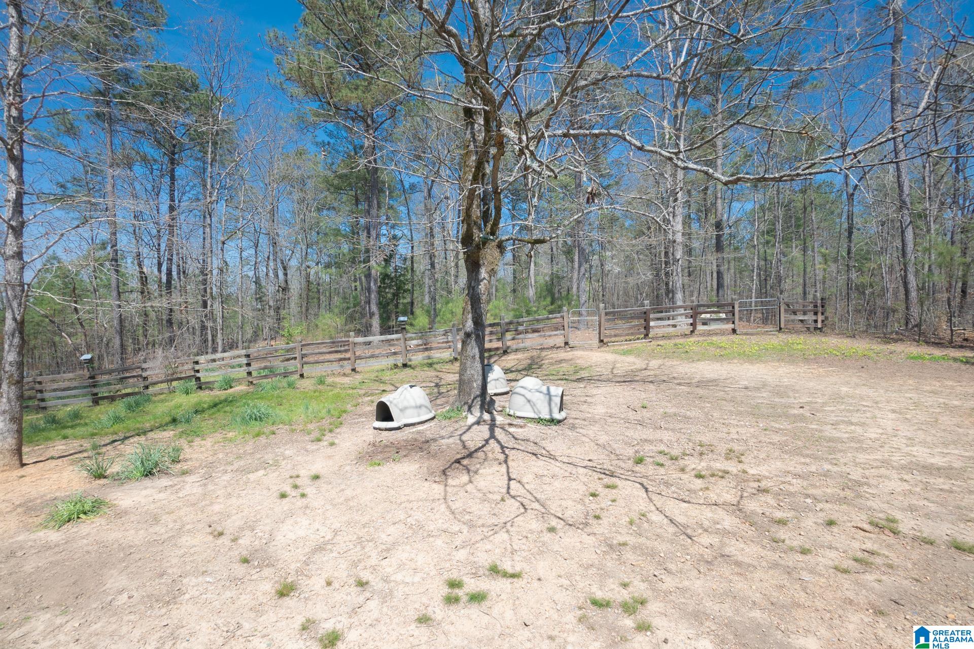 89 Oak Tree Trail Wilsonville, AL 35186 - Photo 13 of 20