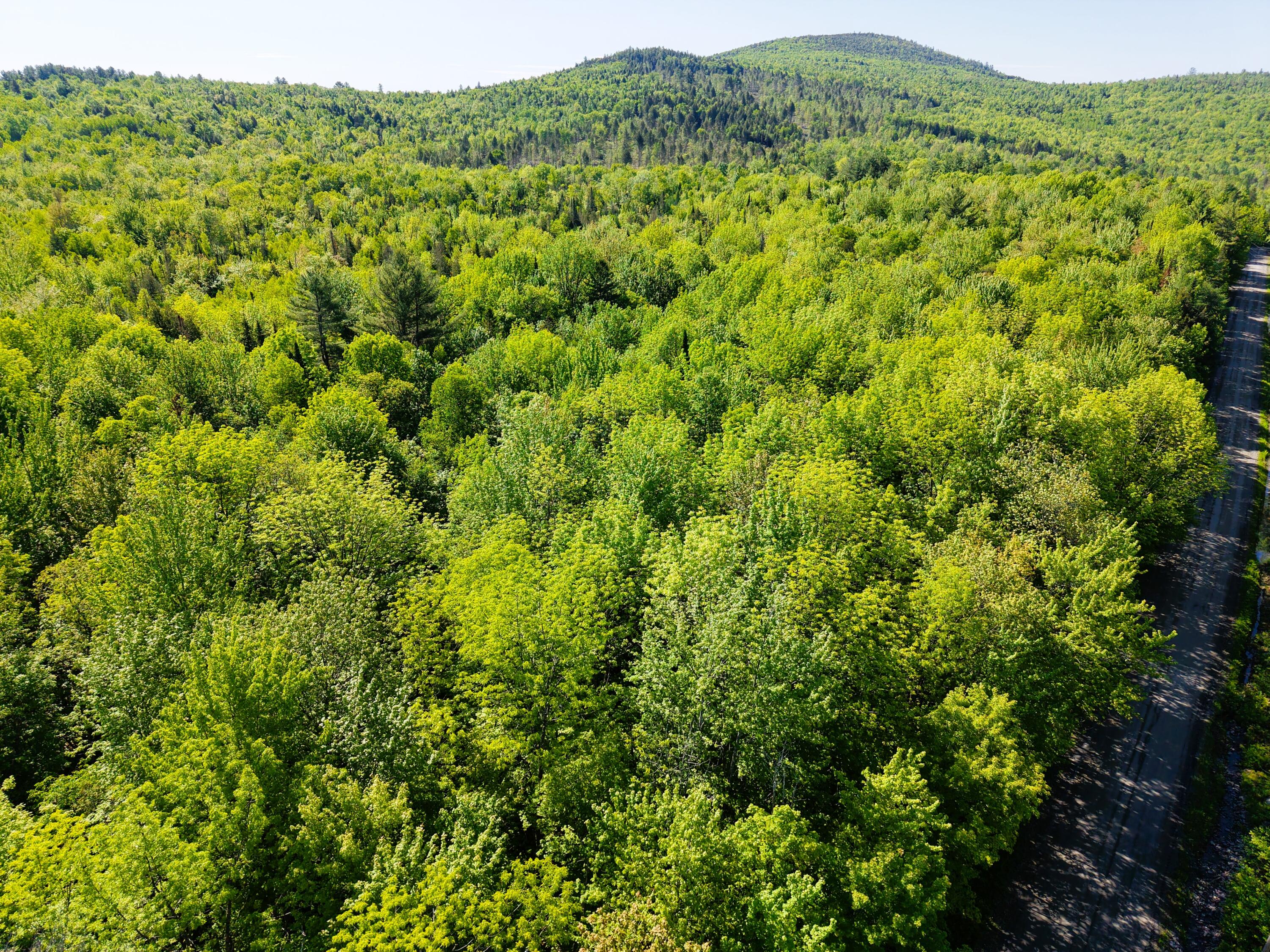 M10-l6-1 Hancock Pond Road New Portland, ME 04961 - Photo 30 of 30 DJI_20260603090334_0015_D
