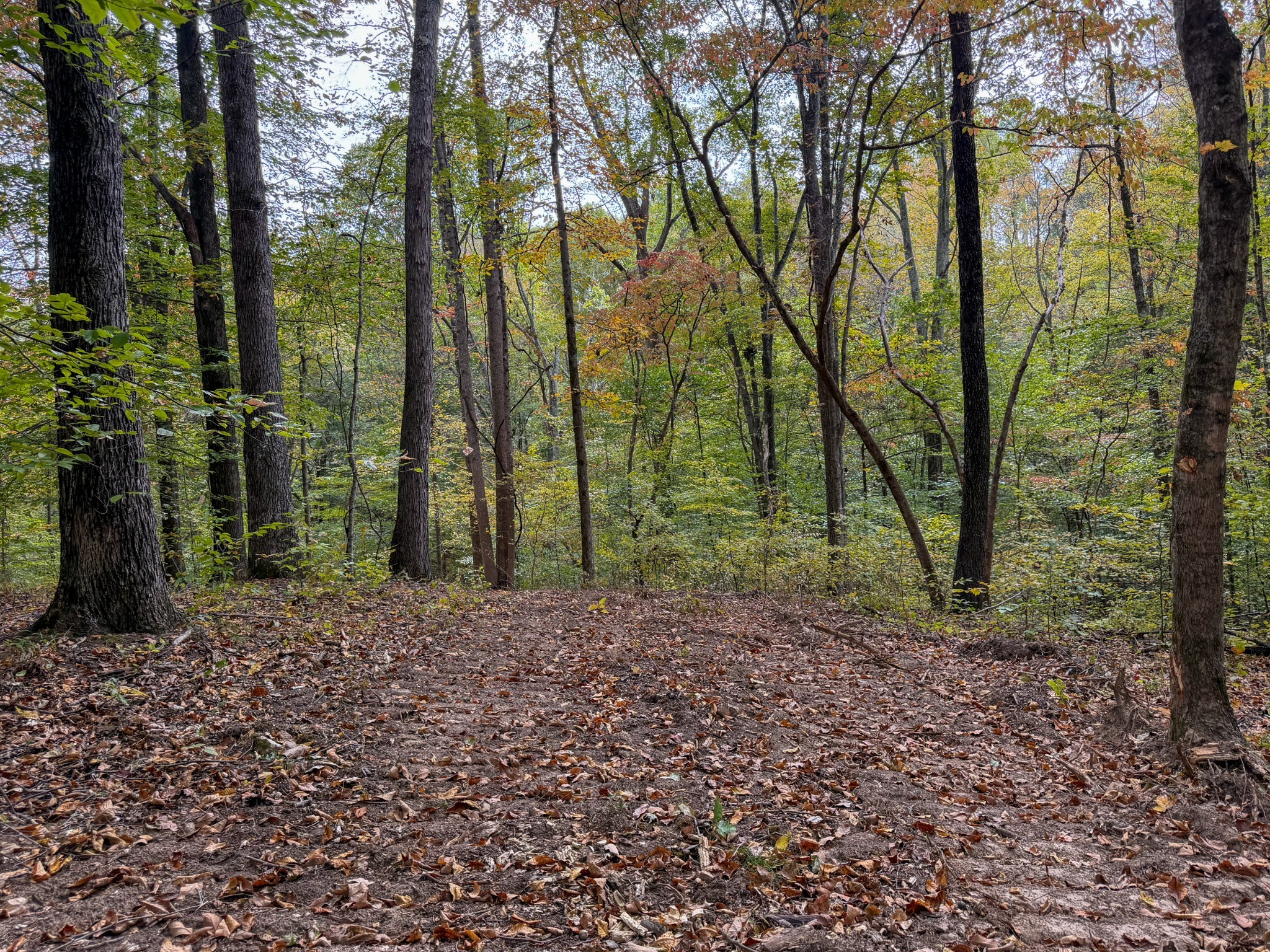 1 Budds Creek Road Palmyra, TN 37142 - Photo 48 of 76