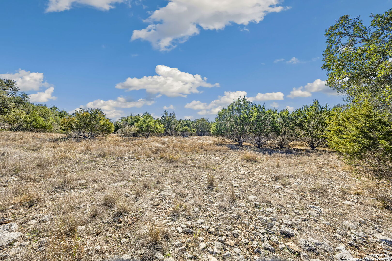 7810 Ramble Ridge San Antonio, TX 78266 - Photo 8 of 17 a view of a yard