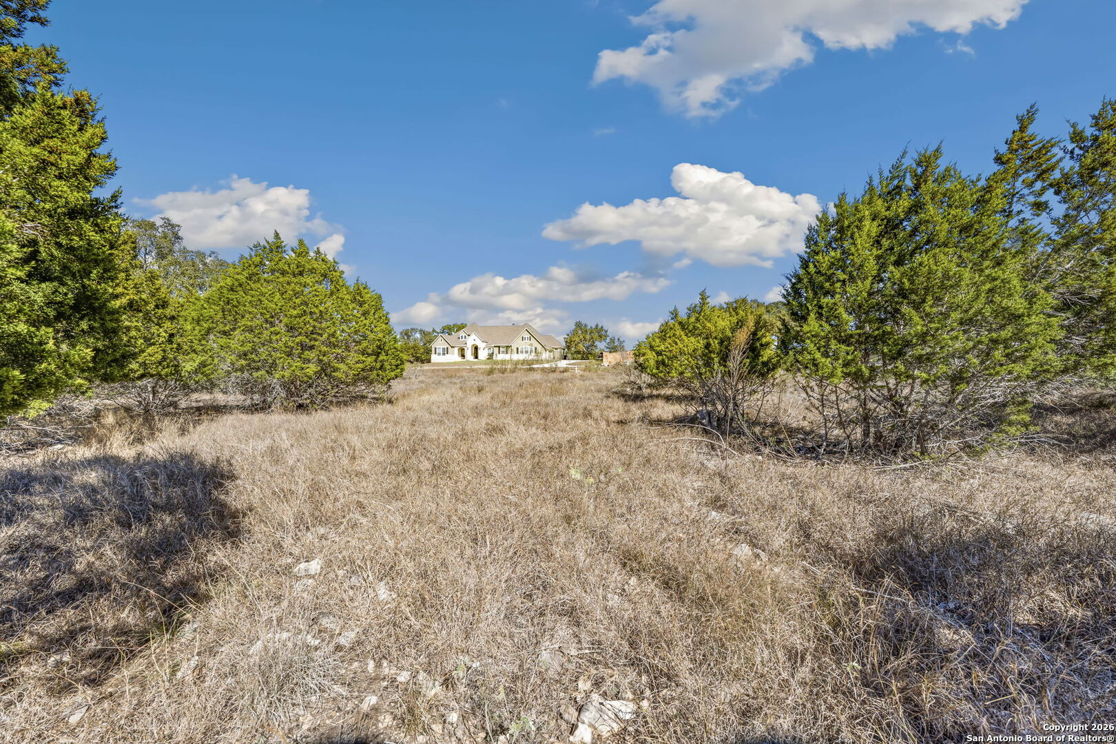 7810 Ramble Ridge San Antonio, TX 78266 - Photo 10 of 17 a view of a big yard with plants and a large tree