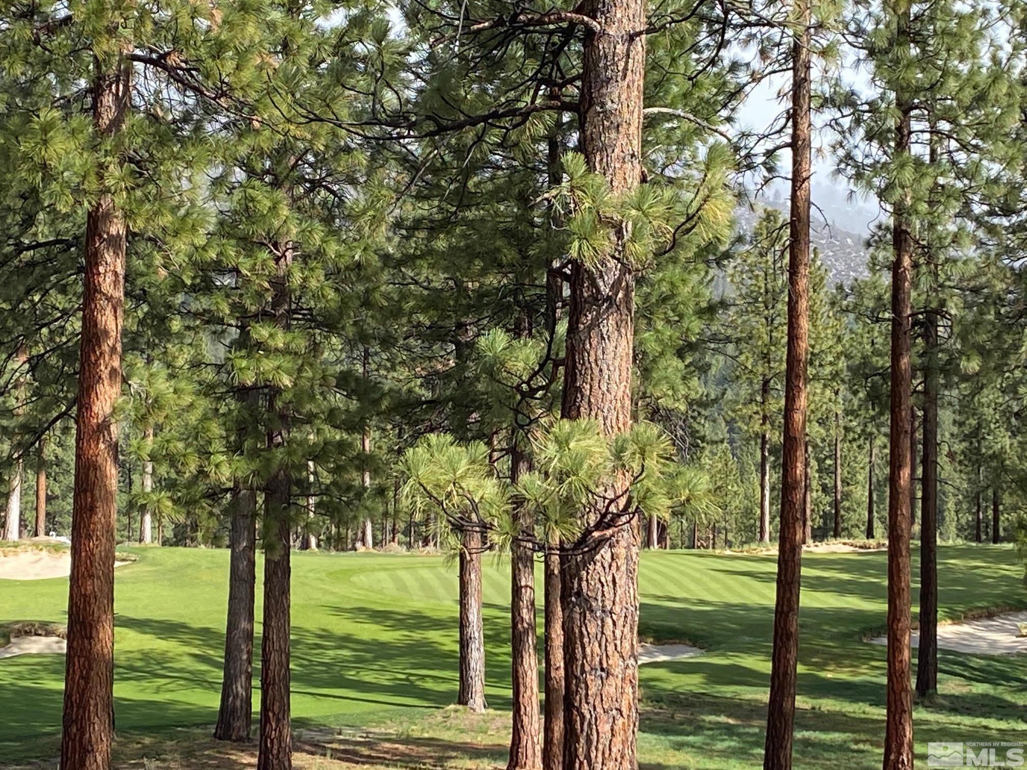 245 Mill Race Loop, Unit C17/303 Carson City, NV 89705 - Photo 1 of 39 Photo 1