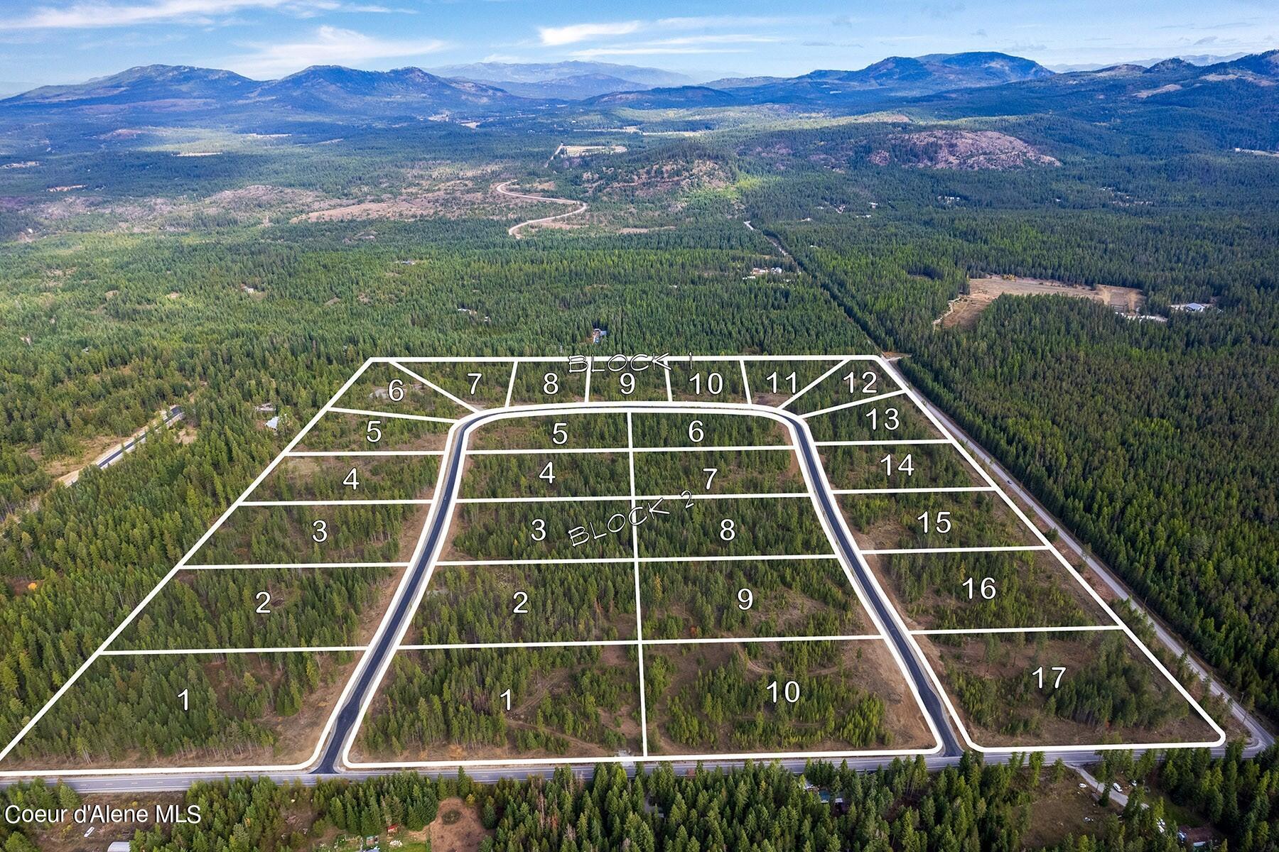 Lot 16-bk1 Lot 16-bk1 Leonard Loop Athol, ID 83801 - Photo 11 of 19 EstatesatFarragutapproxlotlines0