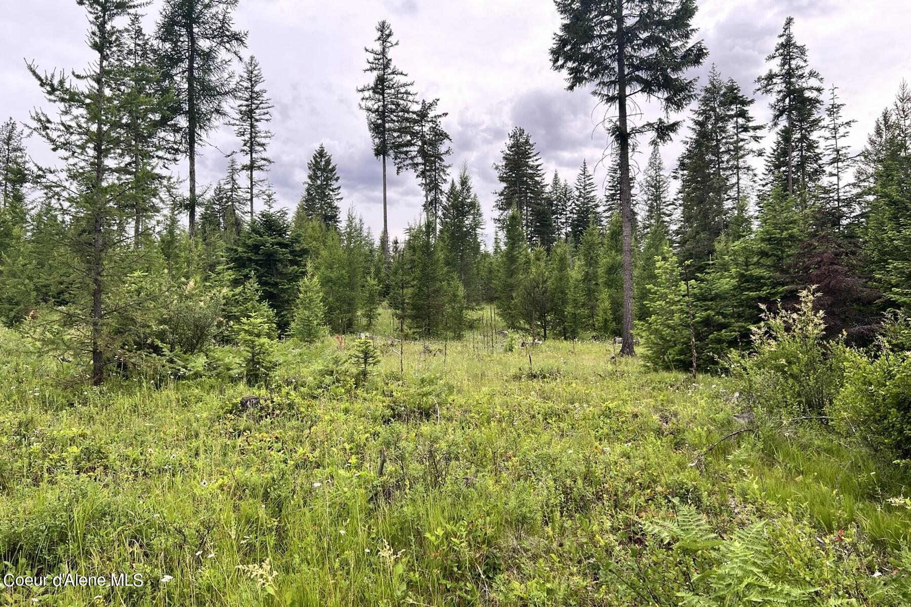 Lot 16-bk1 Lot 16-bk1 Leonard Loop Athol, ID 83801 - Photo 5 of 19 Beautiful Landscape