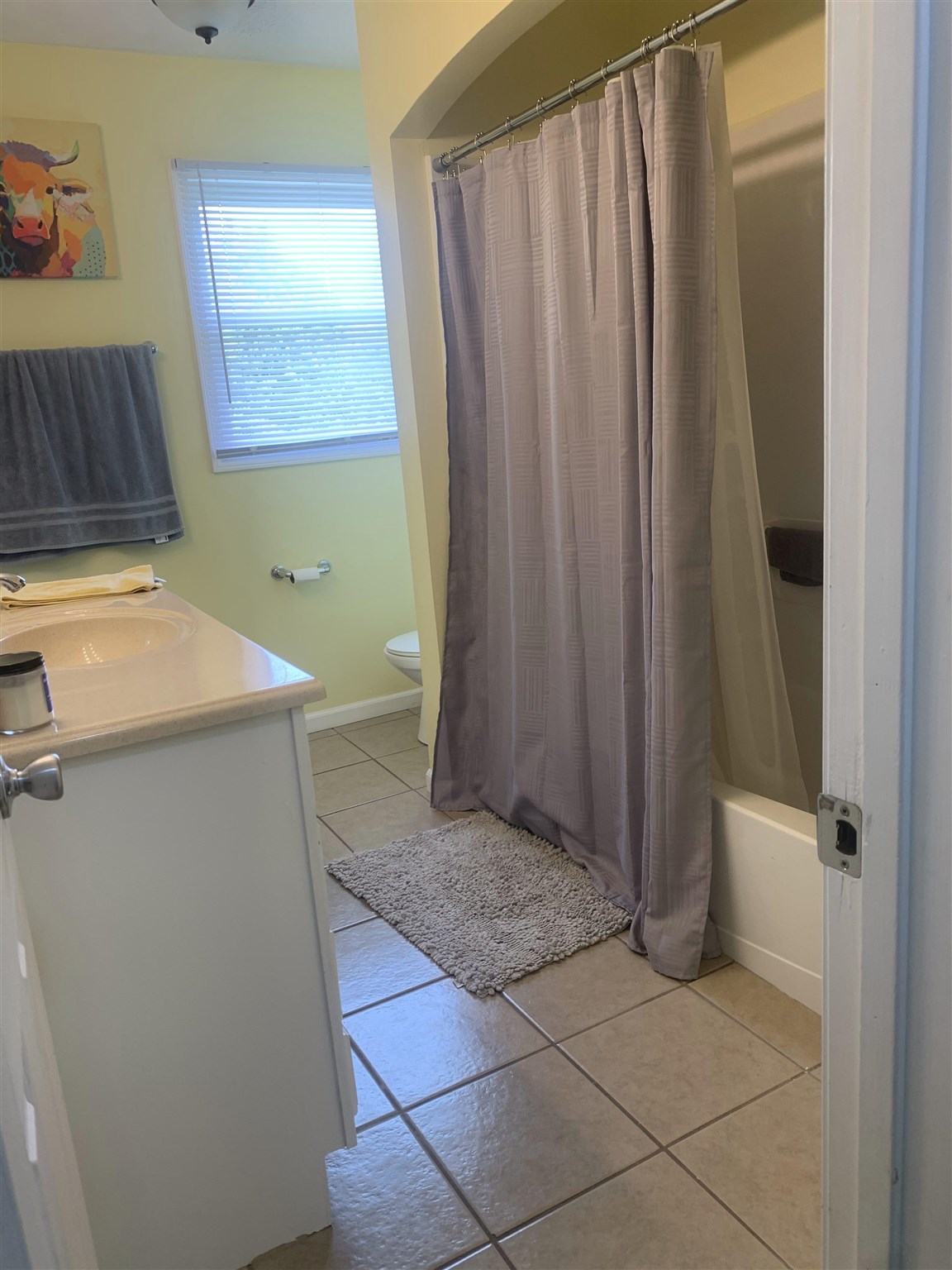 Gallery Image 7