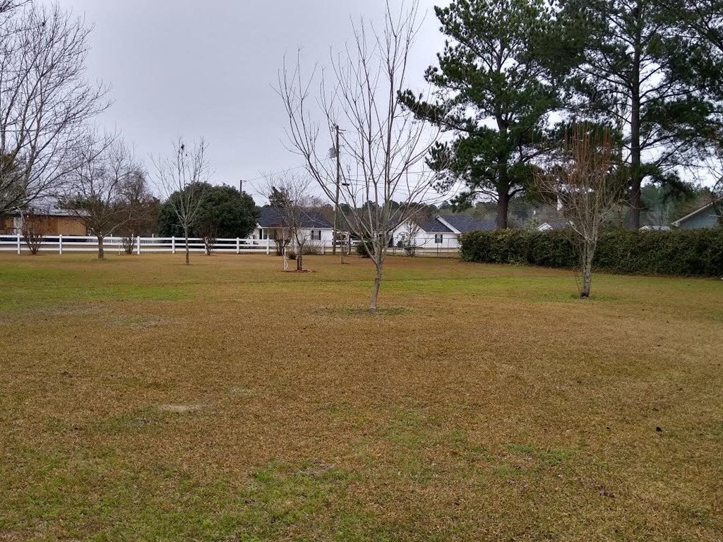 75 Knowles Road Ray City, GA 31645 - Photo 12 of 28 Gallery Image 12