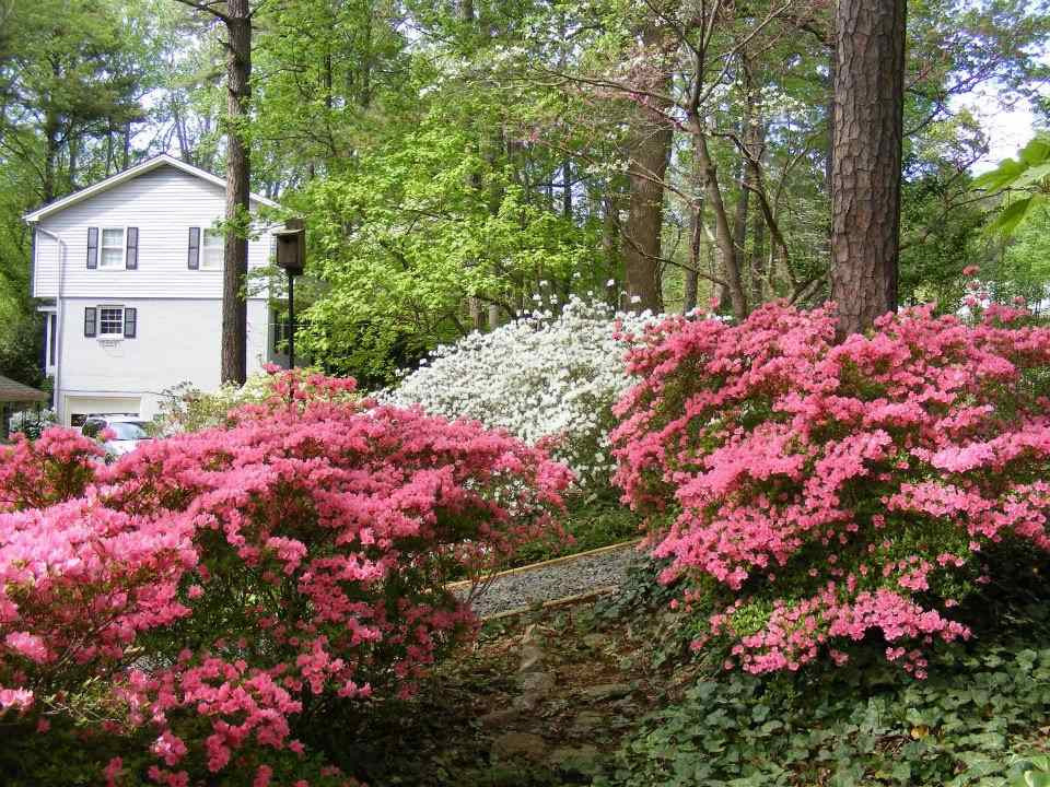 4605 Oak Park Road Raleigh, NC 27612 - Photo 3 of 25 Photo 3