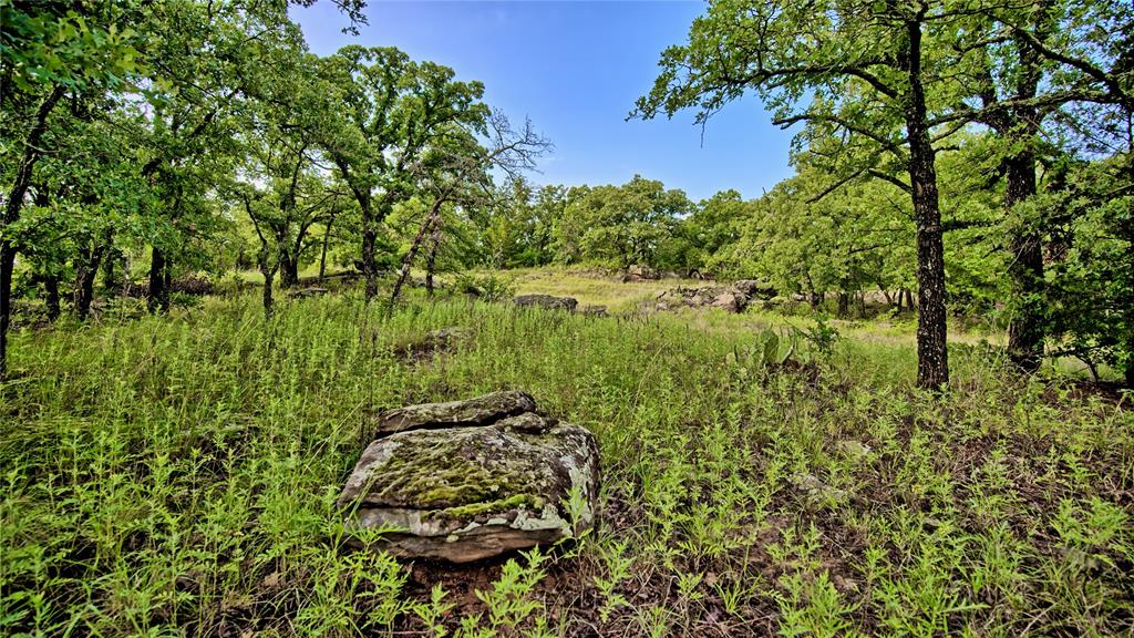 978 Longbranch Road Nocona, TX 76255 - Photo 31 of 36