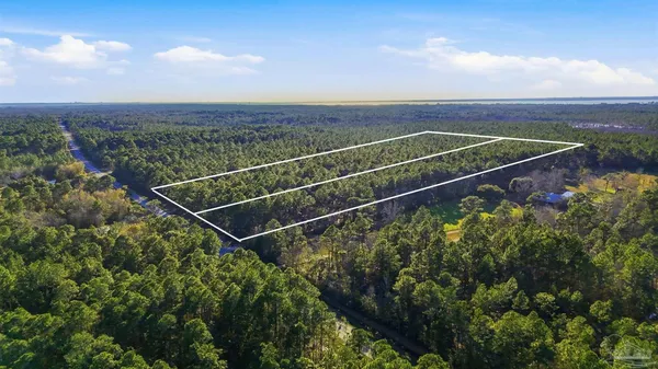 a view of a wooden bench and trees in a yard