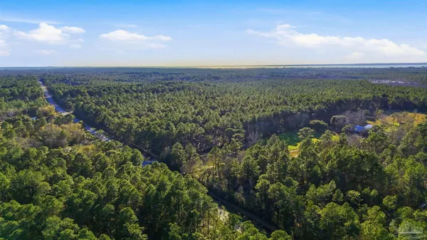 a view of a backyard with trees