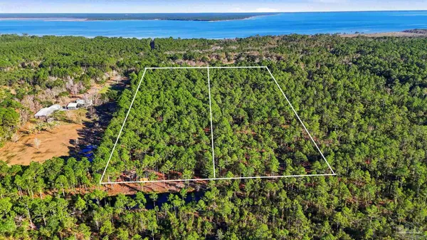 a view of a city with lush green forest