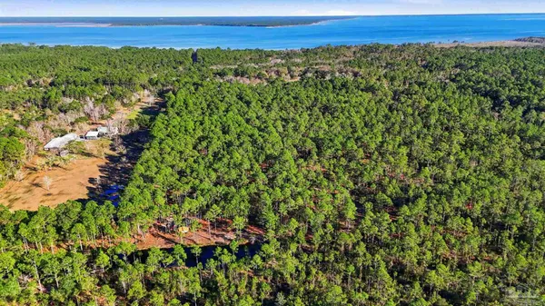 a view of a green field with lots of bushes