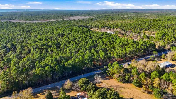 a view of a garden with plants