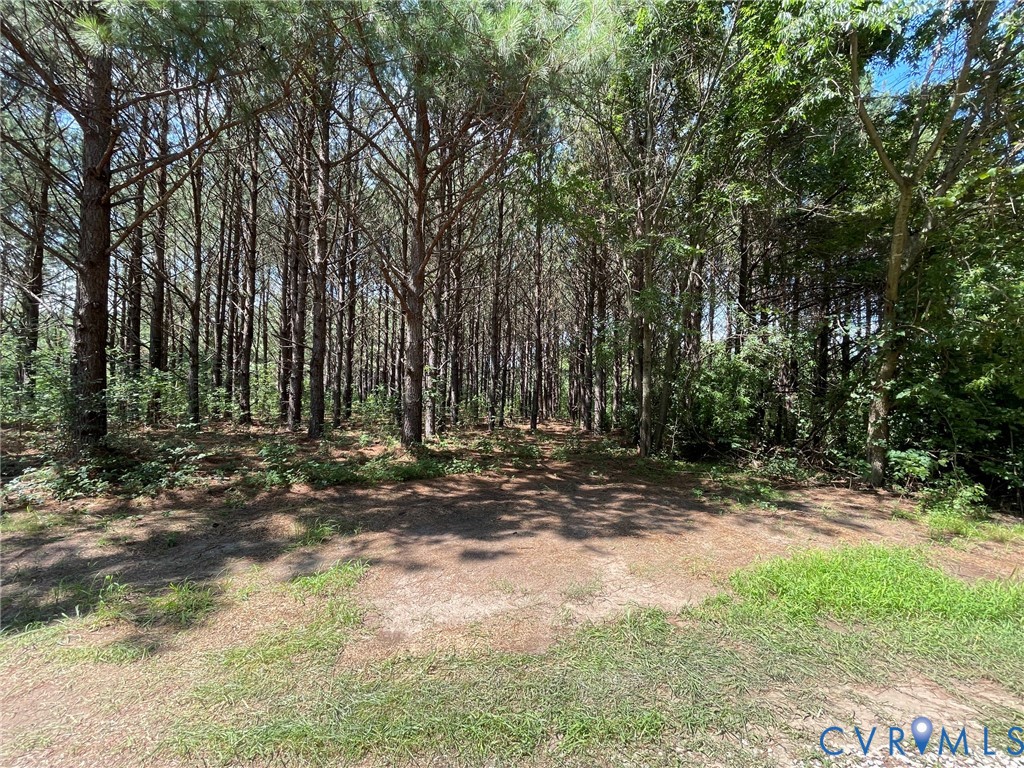 1 Deer Run Road Blackstone, VA 23824 - Photo 13 of 17