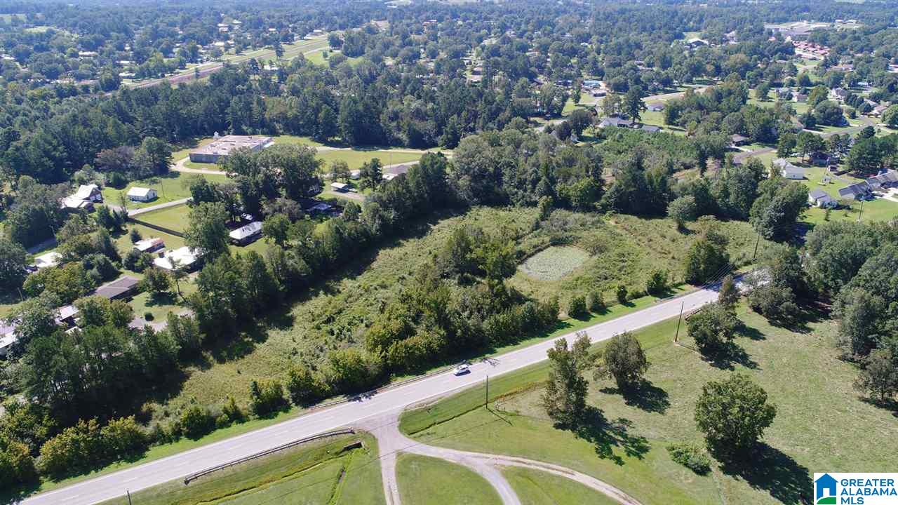 1002 Arkadelphia Road Hanceville, AL 35077 - Photo 4 of 11