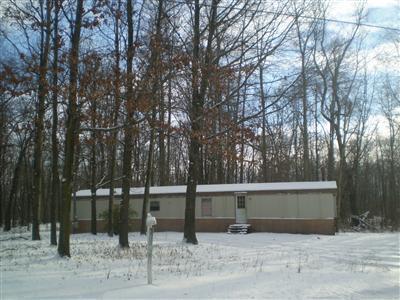 9391 MacArthur Road Saranac, MI 48881 - Photo 5 of 6 Additional Photo