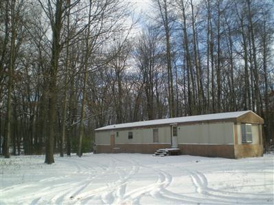 9391 MacArthur Road Saranac, MI 48881 - Photo 6 of 6 Additional Photo