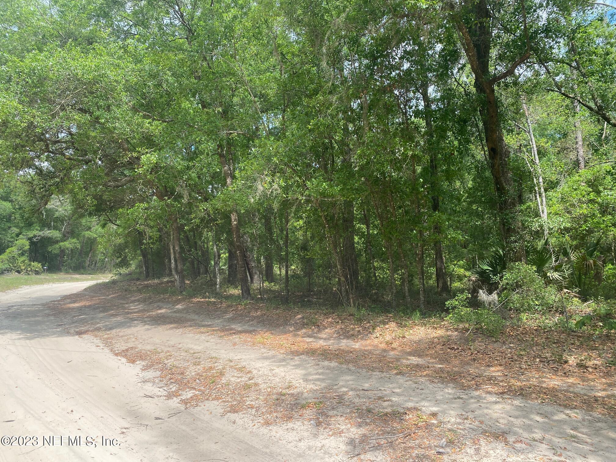 102 Sculpin Drive Florahome, FL 32140 - Photo 12 of 21 a view of outdoor space with trees
