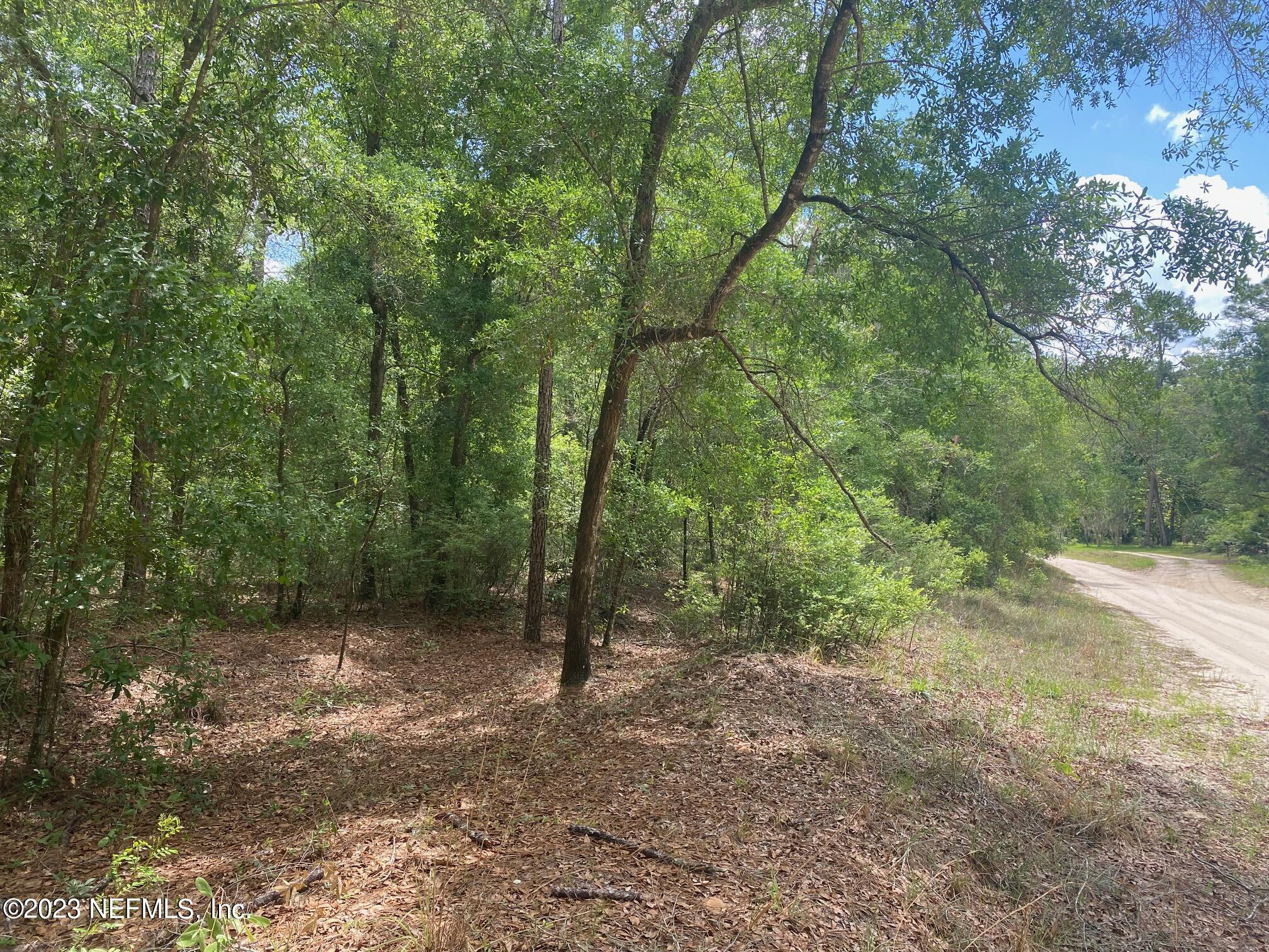 102 Sculpin Drive Florahome, FL 32140 - Photo 15 of 21 a view of a forest with trees in the background