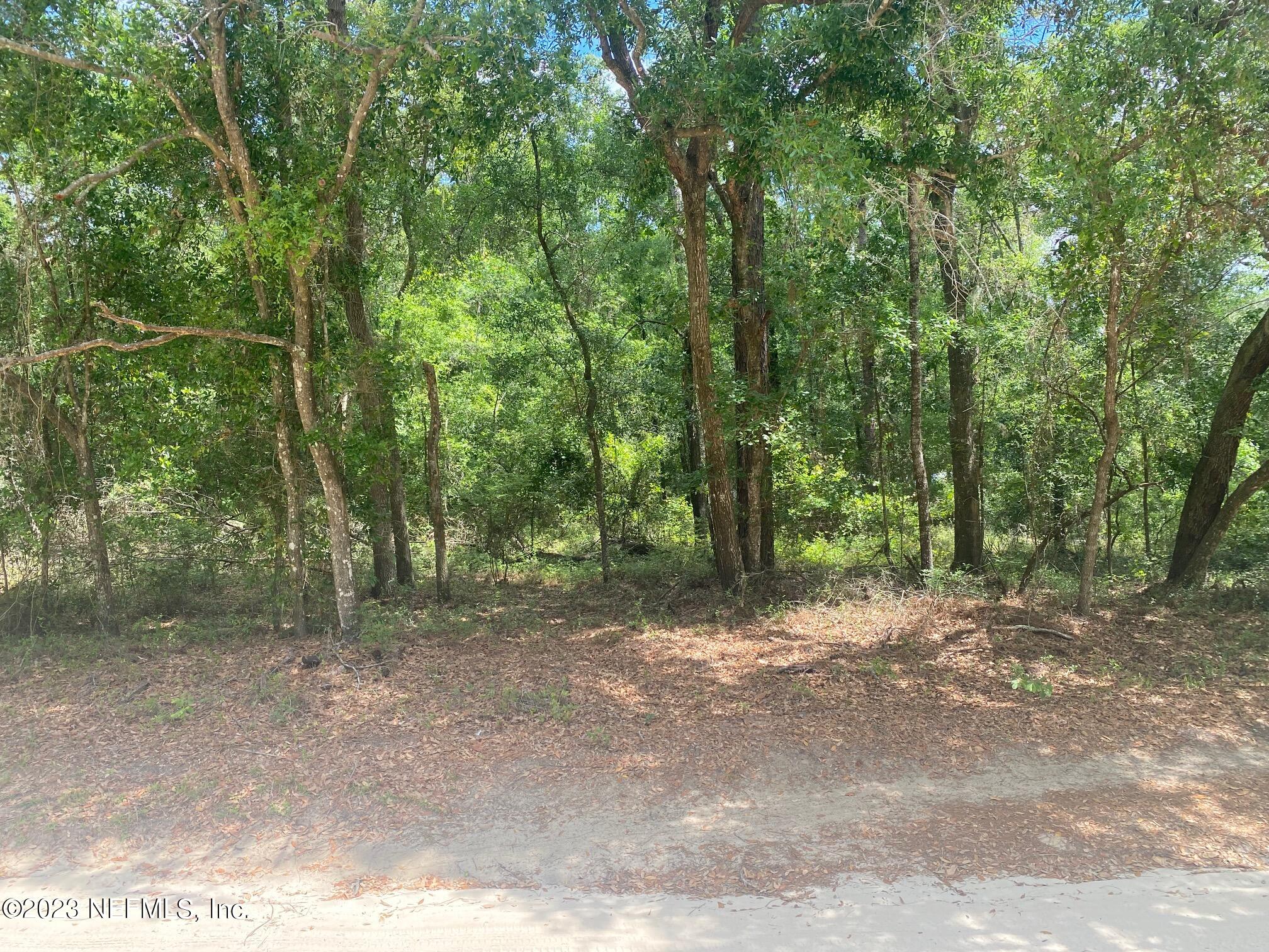 102 Sculpin Drive Florahome, FL 32140 - Photo 2 of 21 a view of a forest with trees in the background