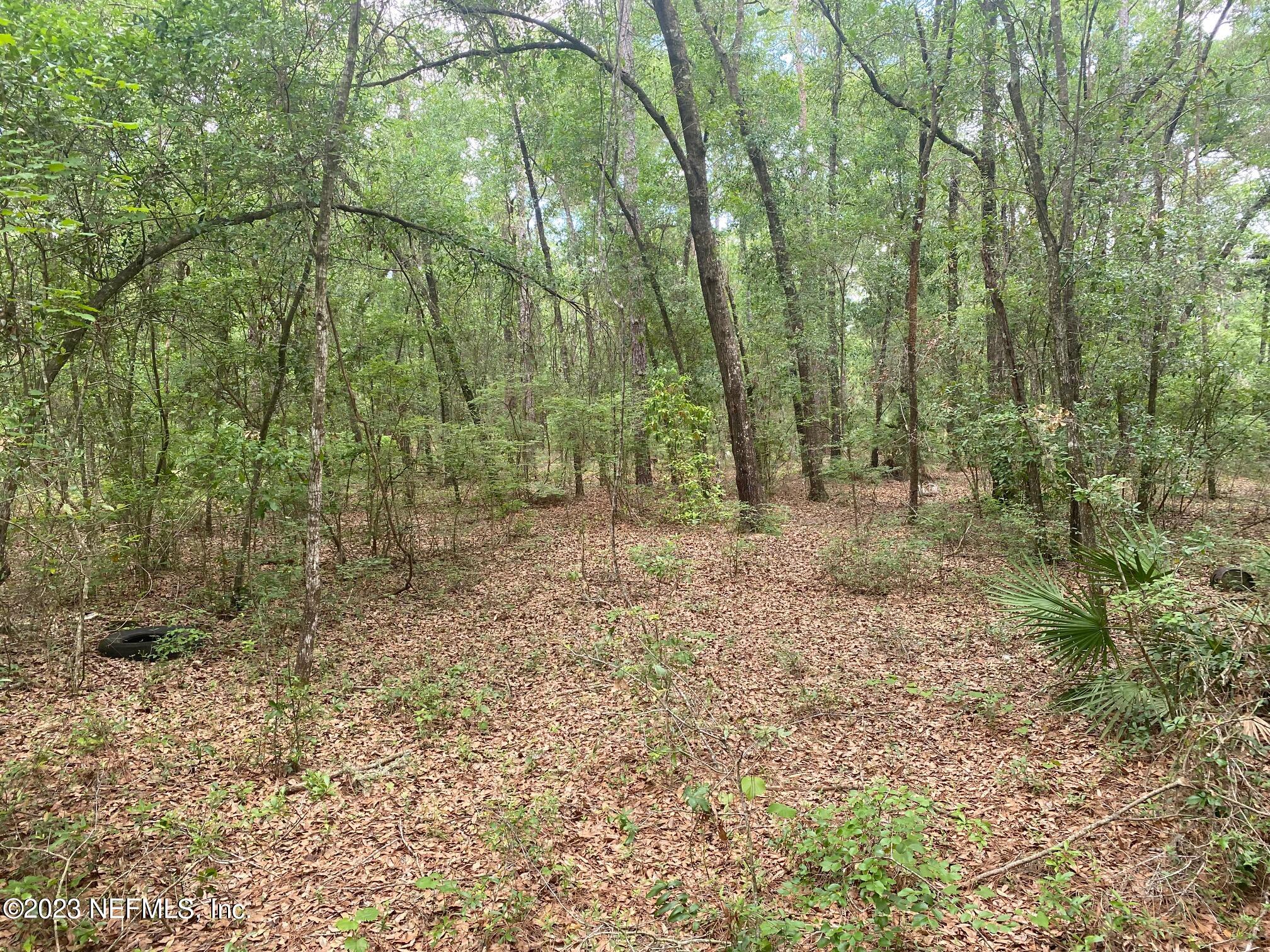 102 Sculpin Drive Florahome, FL 32140 - Photo 5 of 21 a view of outdoor space and green space