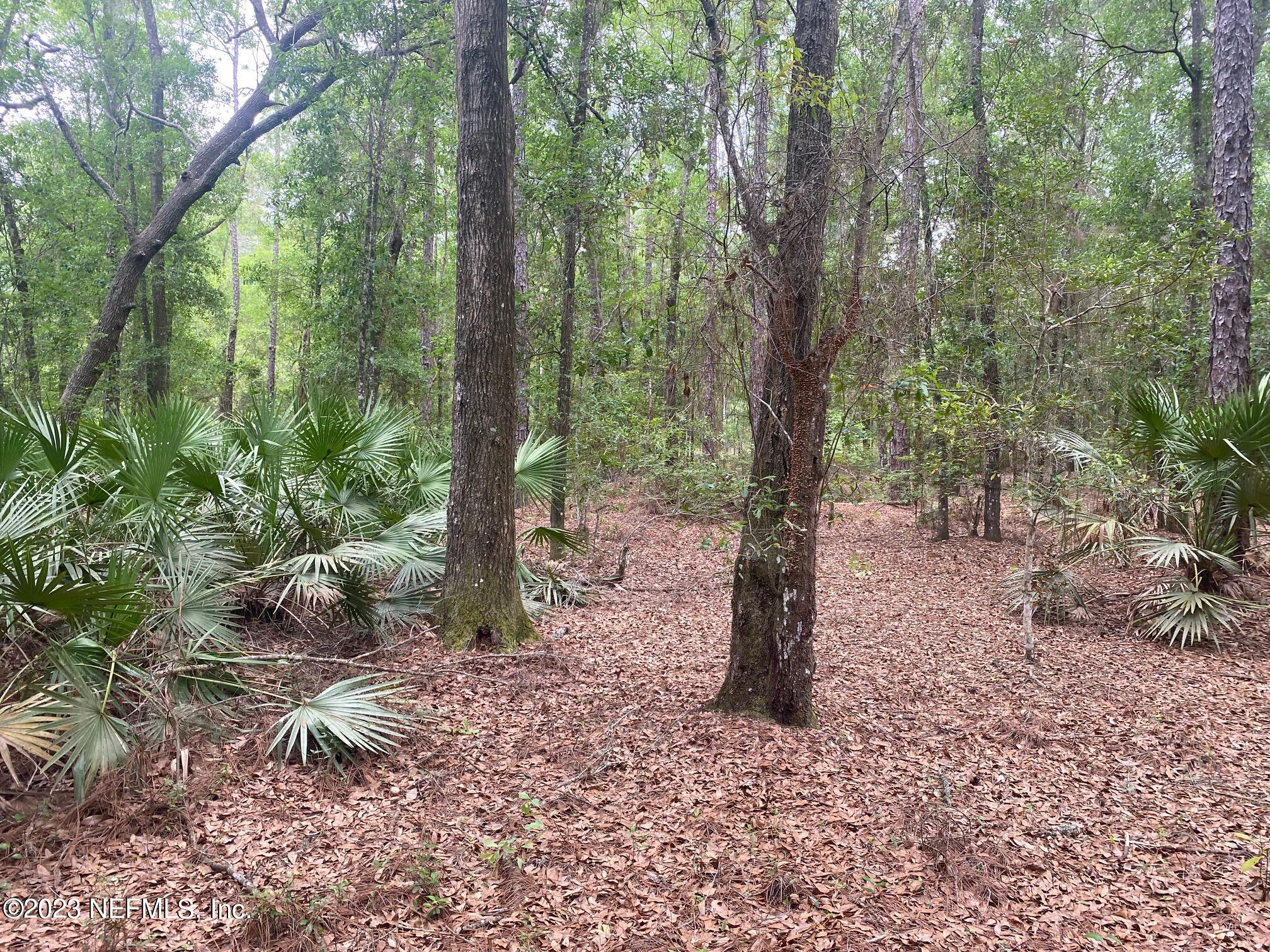 102 Sculpin Drive Florahome, FL 32140 - Photo 8 of 21 a view of outdoor space with lots of green space