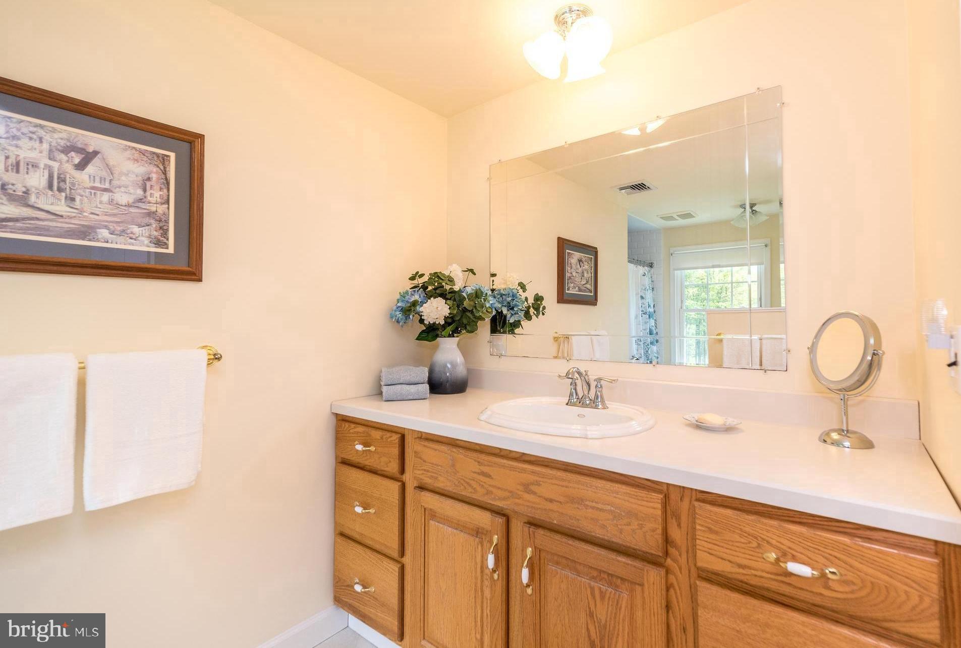 562 Headquarters Road Ottsville, PA 18942 - Photo 20 of 44 Principal bath