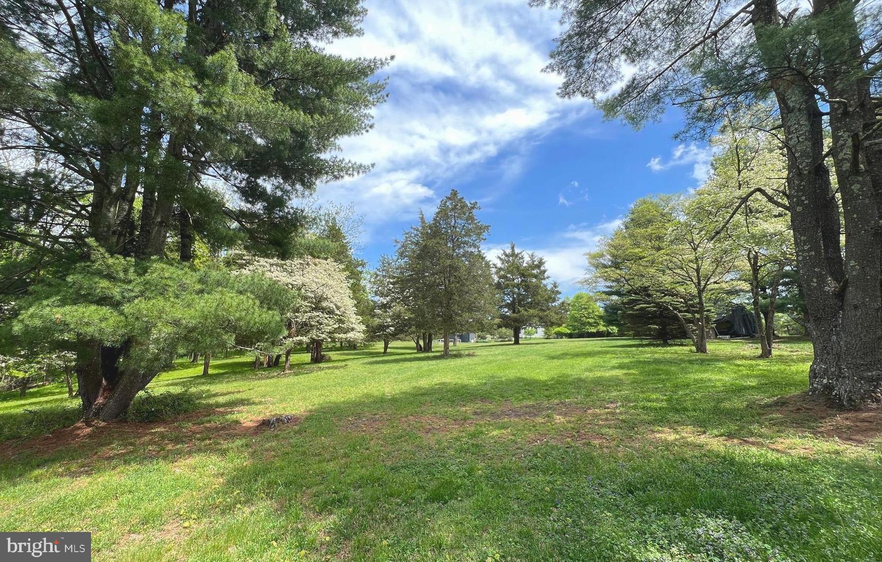 562 Headquarters Road Ottsville, PA 18942 - Photo 41 of 44 View of the spacious backyard
